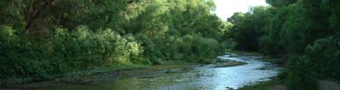 Santa Cruz River